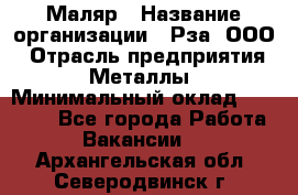 Маляр › Название организации ­ Рза, ООО › Отрасль предприятия ­ Металлы › Минимальный оклад ­ 40 000 - Все города Работа » Вакансии   . Архангельская обл.,Северодвинск г.